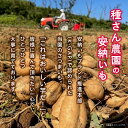 鹿児島県南種子町の画像2