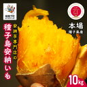 【ふるさと納税】【先行予約】 本場 種子島産 天然スイーツ 種子島 安納いも 10kg 詰め合わせ さつまいも さつま芋 安納芋 焼きいも 甘い ねっとり スイーツ おやつ 10キロ たねがしま 人気 南種子町 鹿児島 かごしま 【有限会社南種子衛生 種さん】
