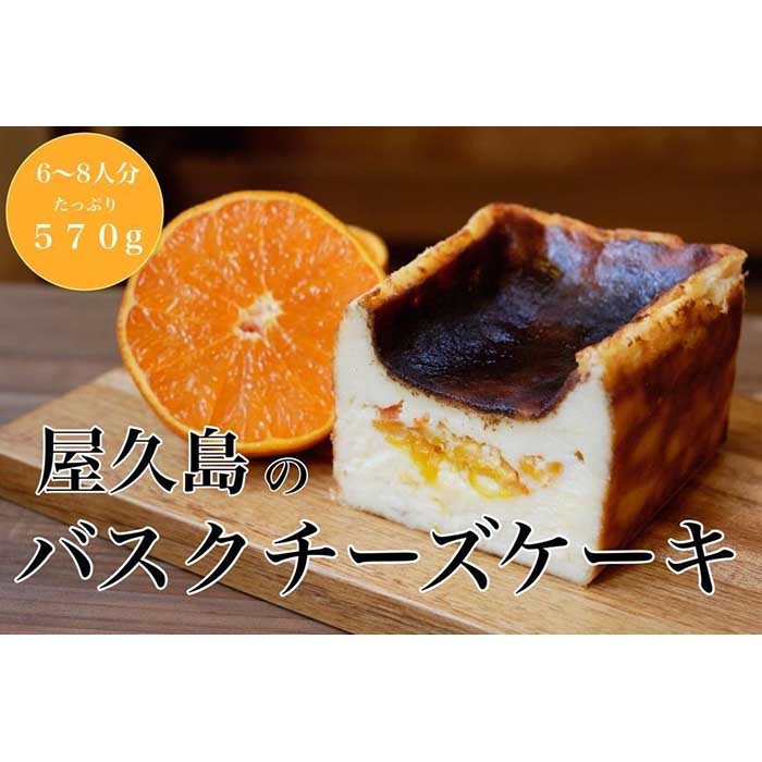 屋久島のバスクチーズケーキ[たんかん]