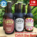 8位! 口コミ数「5件」評価「4.2」屋久島・地ビール Catch the Beerおまかせビール3種6本セット | 瓶ビール 飲み比べ 詰合せ ギフト3種類 キャッチザビア ア･･･ 