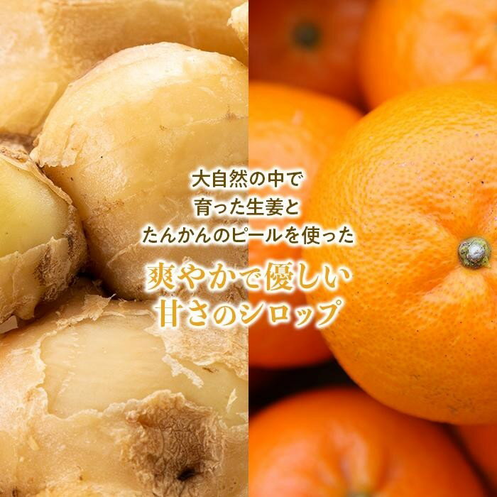 【ふるさと納税】屋久島ジンジャーシロップ 小(120ml)×4本セット | 鹿児島県 屋久島町 鹿児島 屋久島 支援品 ふるさと 納税 支援 返礼品 お取り寄せ お土産 ジンジャーシロップ ジンジャー ジンジャーエール 九州 生姜シロップ しょうがシロップ しょうが 生姜 炭酸割り