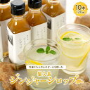 【ふるさと納税】屋久島ジンジャーシロップ 小(120ml)×10本セット | 鹿児島県 屋久島町 鹿児島 屋久島 ふるさと 納税 返礼品 お取り寄せ お土産 ジ...