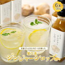 【ふるさと納税】屋久島ジンジャーシロップ 小(120ml)×6本セット | 鹿児島県 屋久島町 鹿児島 屋久島 ふるさと 納税 返礼品 お取り寄せ お土産 ジン...