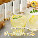 【ふるさと納税】屋久島ジンジャーシロップ 小(120ml)×4本セット | 鹿児島県 屋久島町 鹿児島 屋久島 支援品 ふるさと 納税 支援 返礼品 お取り寄せ...