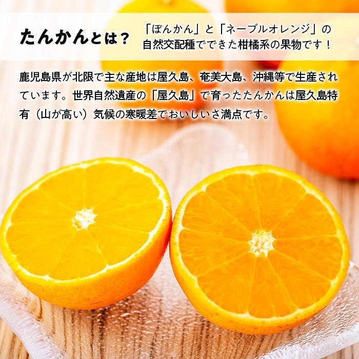 鹿児島県屋久島町の画像2