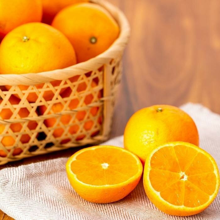 鹿児島県屋久島町の画像3