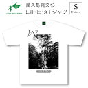 楽天鹿児島県屋久島町【ふるさと納税】屋久島縄文杉Tシャツ　LIFE is（白）Sサイズ | tシャツ 屋久島 メンズ レディース 半袖 半袖tシャツ ティシャツ ティーシャツ 鹿児島県 白tシャツ おしゃれ お取り寄せ ギフト プレゼント