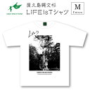 屋久島縄文杉Tシャツ　LIFE is（白）Mサイズ | tシャツ 屋久島 メンズ レディース 半袖 半袖tシャツ ティシャツ ティーシャツ 鹿児島県 白tシャツ おしゃれ お取り寄せ ギフト プレゼント