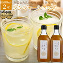 【ふるさと納税】定期便も選べる!屋久島ジンジャーシロップ 特大(500ml)×2本セット | 鹿児島 屋久島 ふるさと 納税 お取り寄せ お土産 ジンジャーシロ...