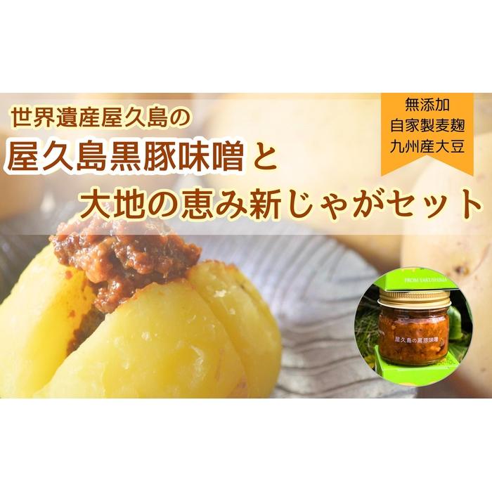 【ふるさと納税】【2025年3月上旬頃から発送】屋久島産黒豚の豚味噌と新じゃがセット5kg<農薬不使用> | 野菜 やさい 食品 人気 おすすめ 送料無料