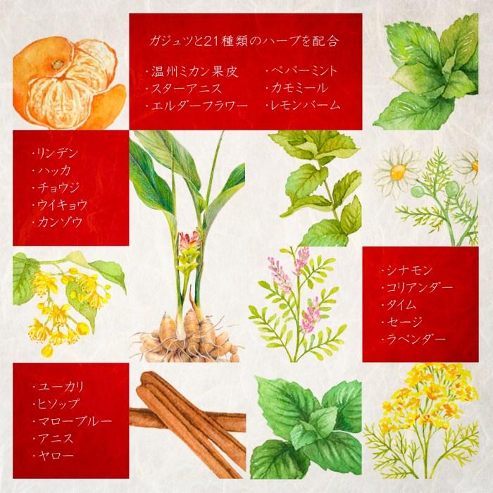 【ふるさと納税】屋久島・種子島産ガジュツ配合 恵命堂我述飴（10袋セット） | 鹿児島県 屋久島町 菓子 おかし 飴 あめ 食品 人気 おすすめ