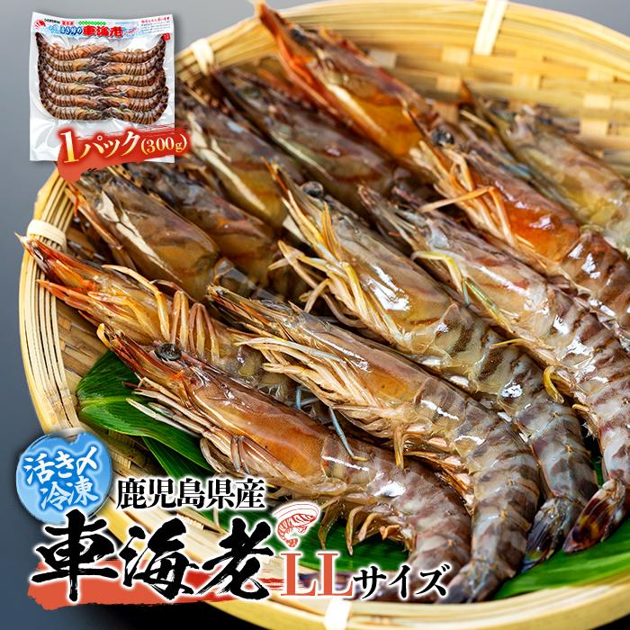 【ふるさと納税】活き〆冷凍 車海老 LLサイズ 300g 鹿児島県産 (養殖) | エビ 海老 送料無料 屋久島 屋久島町 鹿児島 鹿児島県 九州 海鮮 エビフライ エビチリ 魚介類 冷凍 お取り寄せ オススメ