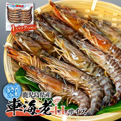 活き〆冷凍 車海老 LLサイズ 300g 鹿児島県産 (養殖) | エビ 海老 送料無料 屋久島 屋久島町 鹿児島 鹿児島県 九州 海鮮 エビフライ エビチリ 魚介類 冷凍 お取り寄せ オススメ