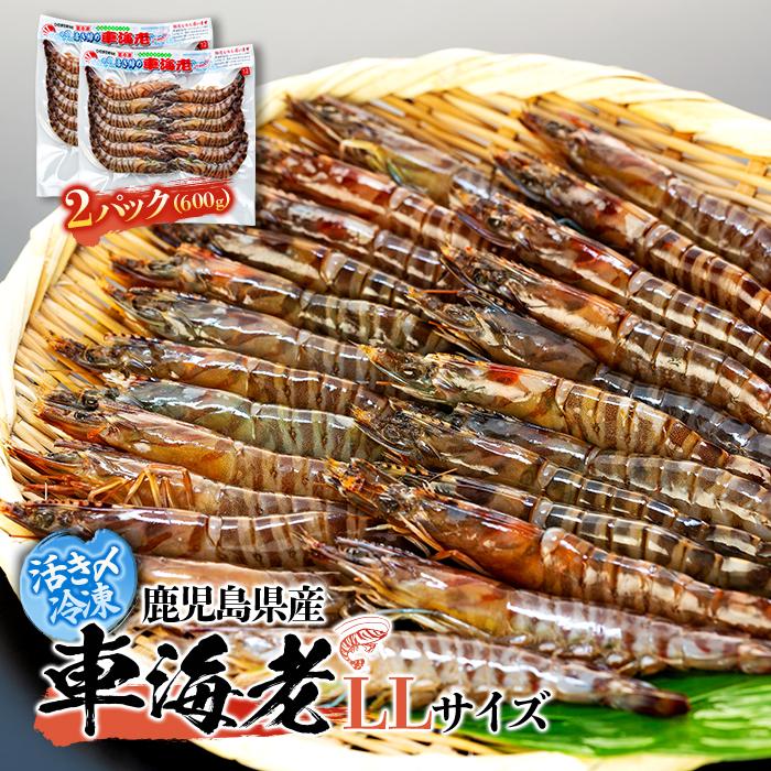 活き〆冷凍 車海老 LLサイズ 計600g 鹿児島県産 (養殖) | エビ 海老 送料無料 屋久島 屋久島町 鹿児島 鹿児島県 九州 海鮮 エビフライ エビチリ 魚介類 冷凍 お取り寄せ オススメ