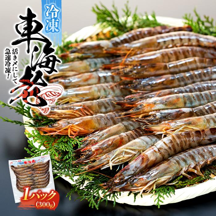 活き〆冷凍 車海老 Mサイズ 300g 鹿児島県産 (養殖) | 車海老 エビ 海老 送料無料 屋久島 屋久島町 鹿児島 鹿児島県 九州 海鮮 エビフライ エビチリ 魚介類 冷凍 お取り寄せ オススメ