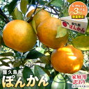 【ふるさと納税】2025年 屋久島産 ぽんかん 家庭用 訳あり 約3kg 小玉(S~Mサイズ・少々キズあり)<先行予約/数量限定> | 鹿児島県 屋久島町 鹿児島 屋久島 訳アリ 自家用 ご当地 ぽんかん ポンカン くだもの 果物 フルーツ 柑橘 柑橘フルーツ 果実 先行受付 数量限定
