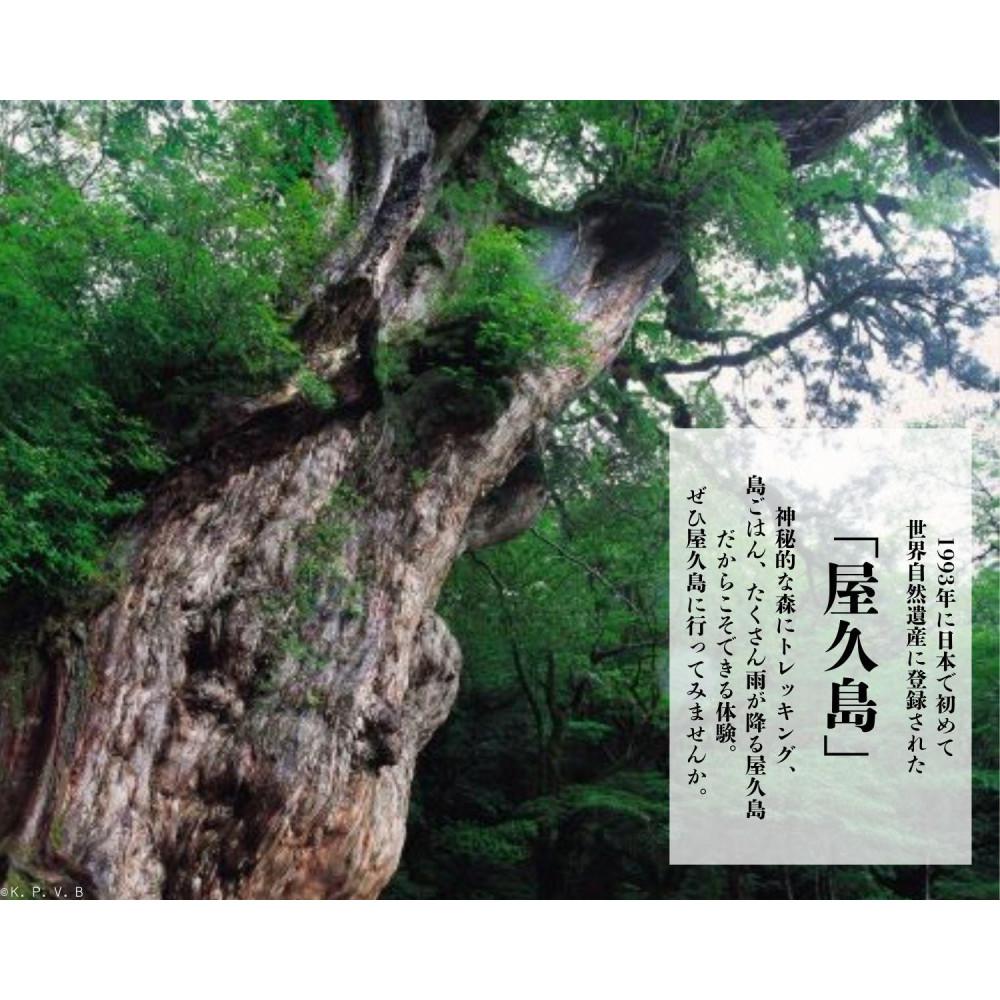 【ふるさと納税】屋久島町に泊まるふるさと納税旅行クーポン【9,000円分】 | 旅行券 宿泊券 宿泊 観光 旅行 ホテル クーポン チケット 屋久島その2
