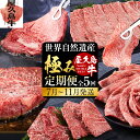 【ふるさと納税】【定期便 全5回】【屋久島牛】世界自然遺産極み定期便<7月~11月発送> | 肉 お肉 にく 食品