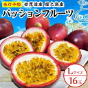 【ふるさと納税】【2026年発送先行受付】絶品パッションフルーツL玉(16玉)“屋久島の恵み”と“愛情”込めて! | 1.5kg以上 鹿児島 屋久島 屋久島町 ...