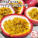 【ふるさと納税】【2026年発送先行受付】絶品パッションフルーツM玉(20玉)“屋久島の恵み”と“愛情”込めて! | 鹿児島 屋久島町 お取り寄せ ご当地 パッ...