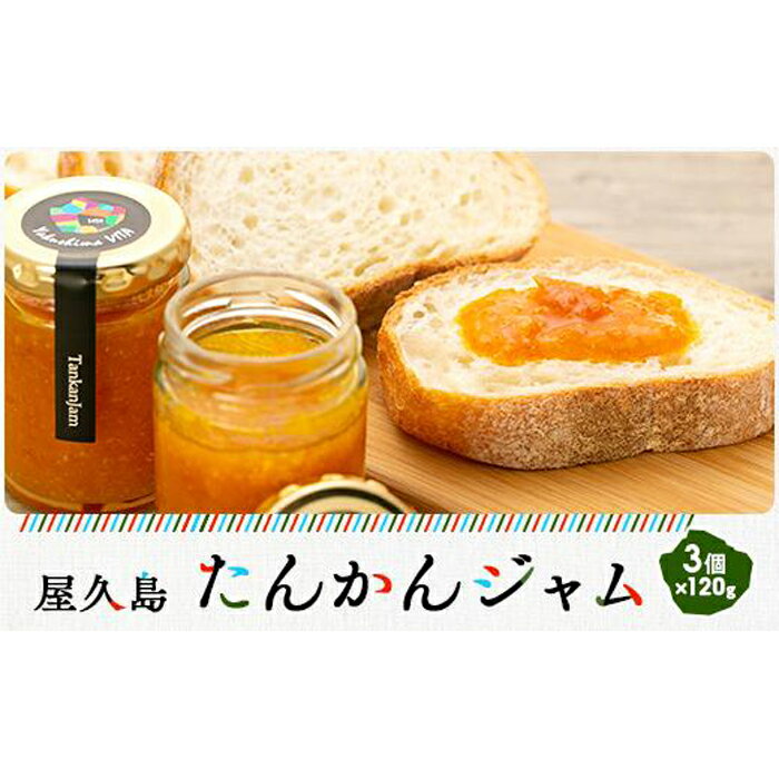 【ふるさと納税】屋久島たんかんジャム3個セットのサムネイル