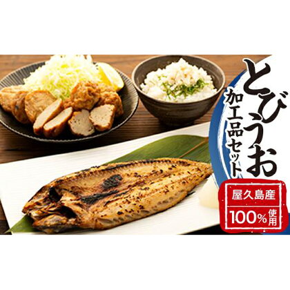 漁協直営！屋久島産　とびうお加工品セット