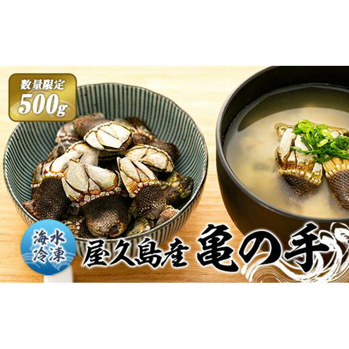 37位! 口コミ数「1件」評価「1」【数量限定】屋久島産「亀の手」500g【海水で冷凍】