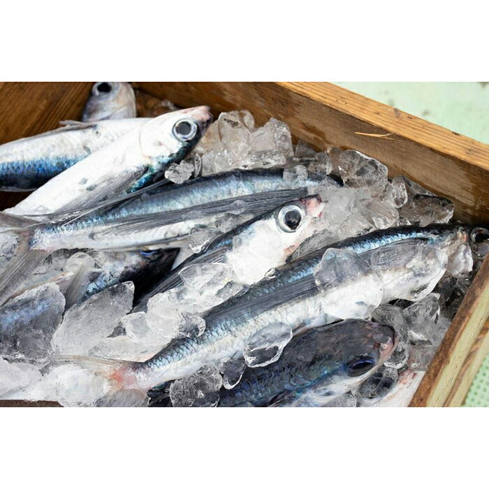 【ふるさと納税】鹿児島 魚 飛魚 干物 7尾 | さかな 飛び魚 開き 干もの 塩干 食品 屋久島 ご当地 小分け 個包装 冷凍 魚介 魚介類 人気 おすすめ 詰め合わせ TVで話題 鹿児島県 屋久島町