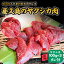 【ふるさと納税】屋久島ヤクシカ肉セット[焼肉れんが屋特製焼肉タレ付]