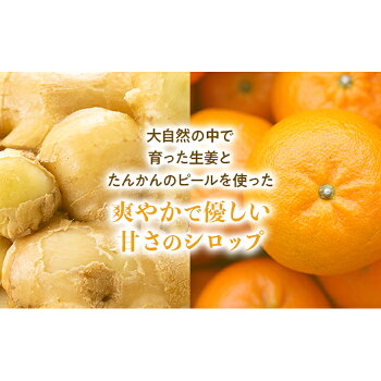 【ふるさと納税】屋久島ジンジャーシロップ大(200ml)×2本セット
