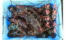 鹿児島県大和村の画像2