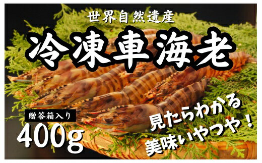 47位! 口コミ数「0件」評価「0」【奄美大島・宇検村】世界自然遺産の冷凍車えび400g　贈答箱入