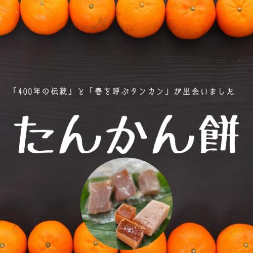 宇検村産たんかん100%使用「たんかん餅」(15個入り×6パック)