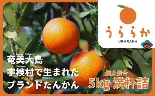 【先行予約※2025年発送分】宇検村産完熟たんかん 5kg　糖度10％以上2025年2月～出荷開始