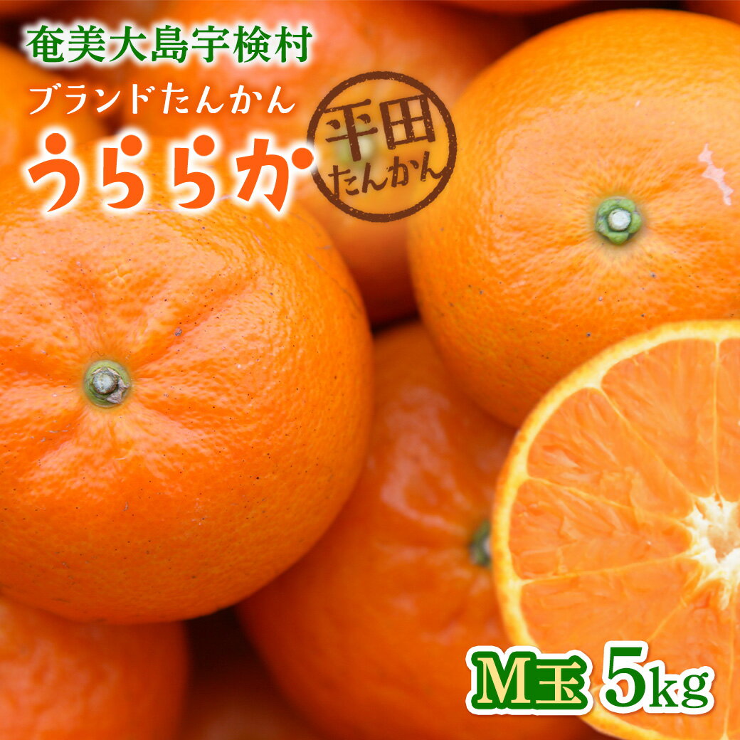 [※2026年発送分 数量限定 予約]完熟 ブランド たんかん M玉 5kg 優品 良品 柑橘 みかん 奄美 宇検村 奄美大島産 光センサー 果物 奄美のみかん 厳選 糖度10度以上 甘い 数量 期間 限定 鹿児島 おすすめ ランキング プレゼント ギフト 家庭用