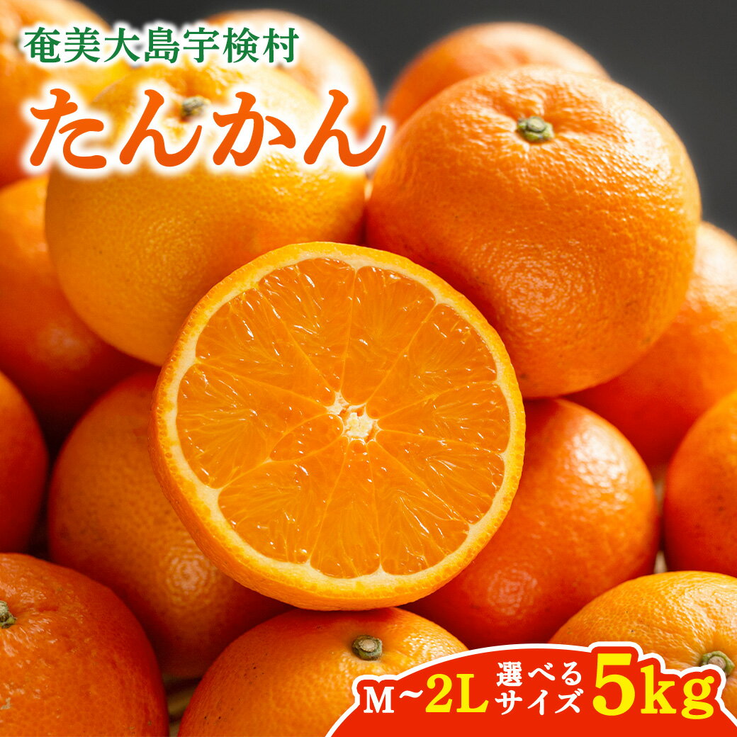 [予約受付 数量限定 2026年2月〜発送]完熟 たんかん 宇検村 希少 農園[5kg] M L 2L サイズ タンカン 柑橘 みかん ミカン 奄美 奄美大島 宇検村 国産 光センサー 果物 奄美のみかん 厳選 糖度10度以上 甘い 数量 期間 限定 鹿児島 家庭用