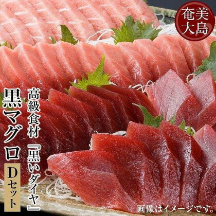 鹿児島県奄美大島産高級食材『黒いダイヤ』黒マグロ　Dセット | 1.8kg 奄美 奄美大島 マグロ 鮪 瀬戸内町 鹿児島 鹿児島県 九州 海鮮 送料無料 魚介類 大トロ 中トロ おすすめ 加計呂麻島 塩 お取り寄せ