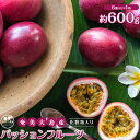 【ふるさと納税】【先行受付】奄美大島産 パッションフルーツ 約600g(化粧箱6個入り×1箱)<ながむら農園> | フルーツ 果物 くだもの 奄美大島 瀬戸内町...