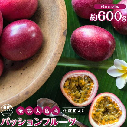 【先行受付】奄美大島産 パッションフルーツ 約600g（化粧箱6個入り×1箱）＜ながむら農園＞ | フルーツ 果物 くだもの 奄美大島 瀬戸内町 鹿児島 先行予約 数量限定 贈答用 ギフト 鹿児島県 お取り寄せ