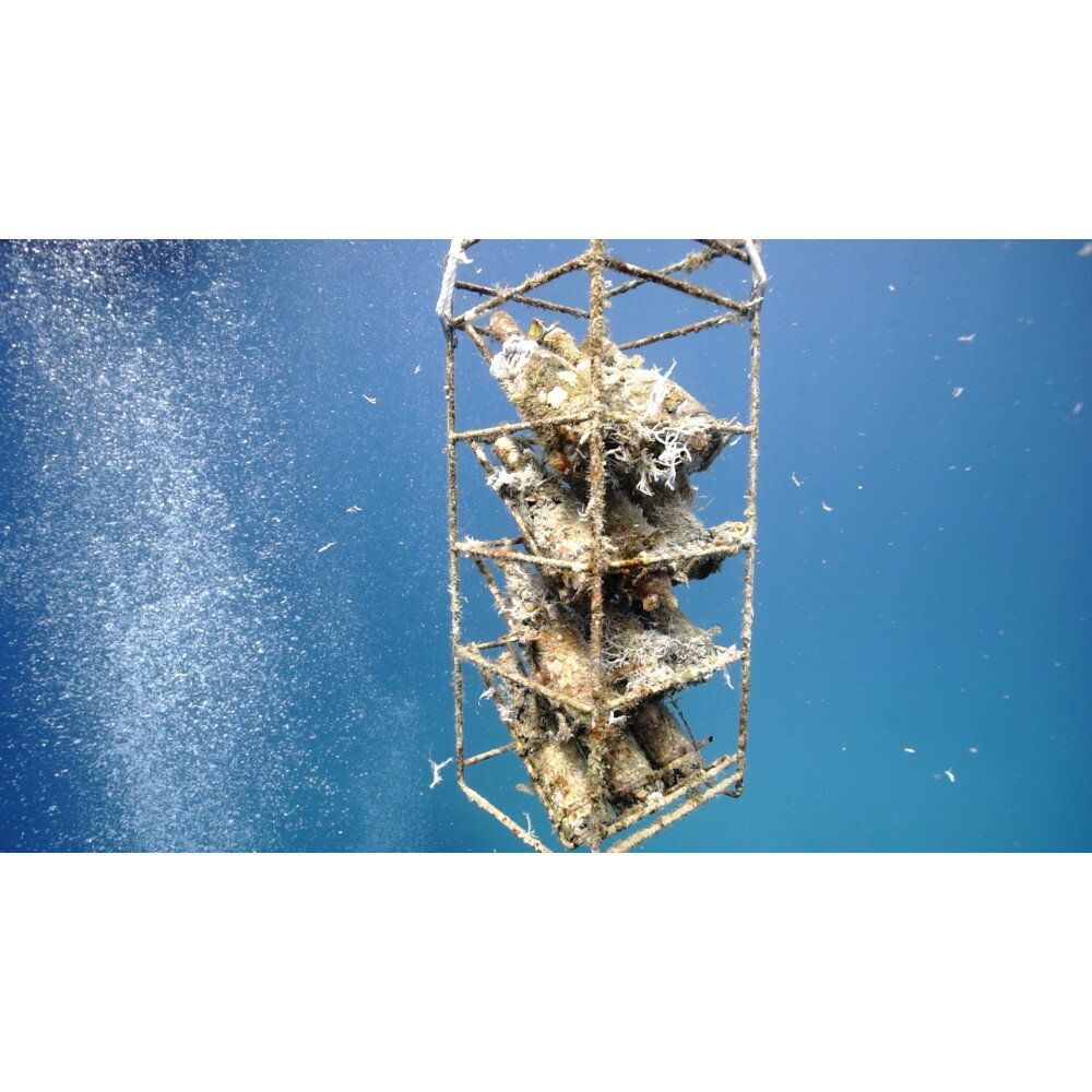 鹿児島県瀬戸内町の画像2