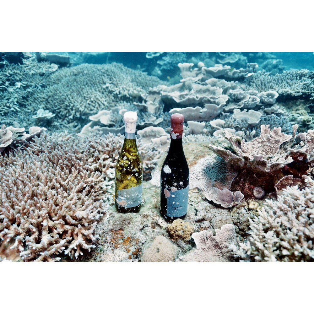 鹿児島県瀬戸内町の画像3