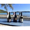 【ふるさと納税】tlass SEA CELLAR -2025 2nd Edition- 海底熟成前後飲み比べワイン 白・赤・スパークリング 750ml×6本セッ...