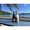 【ふるさと納税】tlass SEA CELLAR -2025 2nd Edition- 海底熟成前後飲み比べスパークリング 750ml×2本