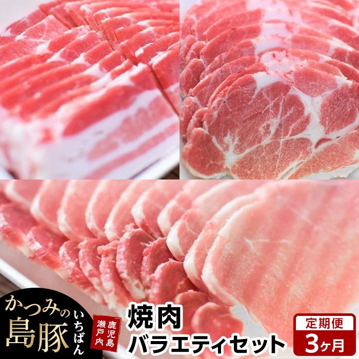 11位! 口コミ数「0件」評価「0」【定期便3か月】かつみの島豚いちばん焼肉バラエティセット 750g（250g×3パック） | 瀬戸内 瀬戸内町 奄美 奄美大島 鹿児島 鹿児･･･ 