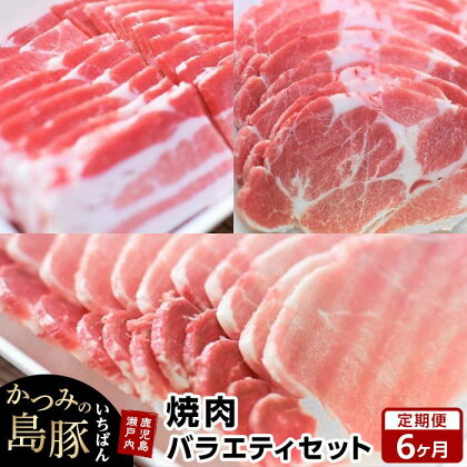 【定期便6か月】かつみの島豚いちばん焼肉バラエティセット 750g（250g×3パック） | 瀬戸内 瀬戸内町 奄美 奄美大島 鹿児島 鹿児島県 九州 お取り寄せ 肉 豚肉 豚 焼肉 焼き肉 定期便 ご当地 取り寄せ 送料無料