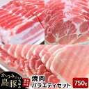 【ふるさと納税】かつみの島豚いちばん焼肉バラエティセット750g 250g 3パック | 瀬戸内 瀬戸内町 奄美 奄美大島 鹿児島 鹿児島県 九州 お取り寄せ 肉 豚肉 豚 焼肉 焼き肉 ご当地 取り寄せ 送…