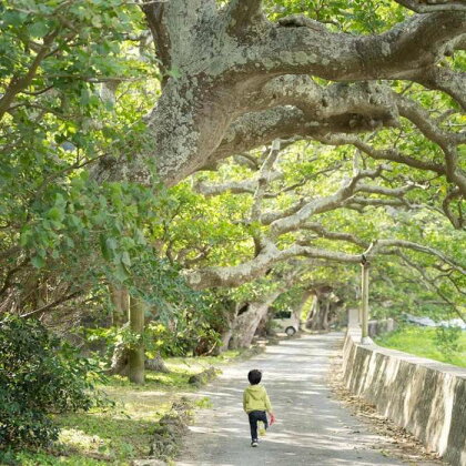 加計呂麻島散策ツアー【6時間コース】