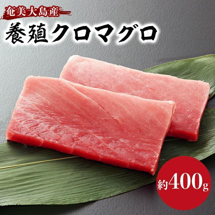 奄美大島産養殖クロマグロ（2柵セット） | マグロ 鮪 中トロ 赤身 約400g 2柵 刺身 養殖 クロマグロ 海鮮丼 手巻き寿司 魚介類 海鮮 高級 お取り寄せ グルメ ギフト おつまみ 瀬戸内町 黒マグロ 瀬戸内奄美大島 鹿児島 九州