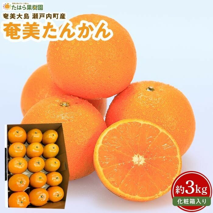 [2026年2月以降発送]奄美たんかん 約3kg化粧箱[数量限定/先行予約] | 3kg 奄美 奄美大島 たんかん フルーツ 果物 期間限定 瀬戸内町 鹿児島 鹿児島県 九州 送料無料 おすすめ 人気 柑橘 お取り寄せ