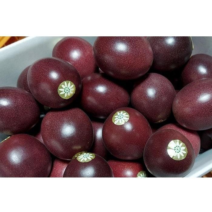 鹿児島県瀬戸内町の画像2